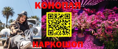прущие грибы Татарск