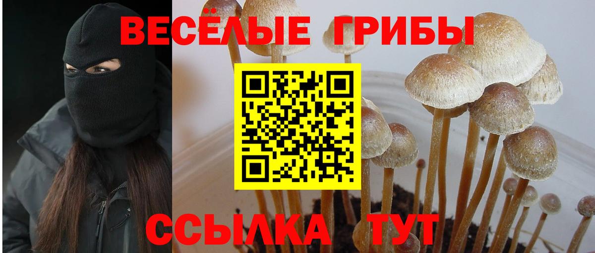  Cocaine Мытищи